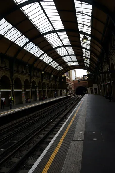 DSC_2730 (Large).JPG